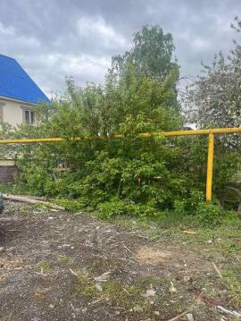 , Самара