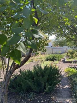 , Самарская область