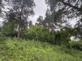 , Самарская область