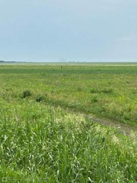 , Самарская область