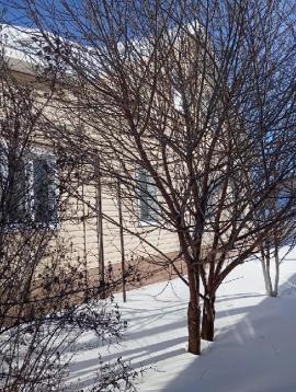 Дома/Коттеджи, Тольятти