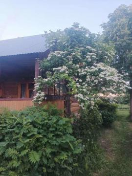 , Сызрань