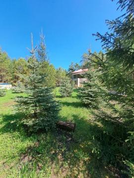 Дома/Коттеджи, Самарская область