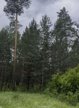 Продажа коммерческой, Самарская область