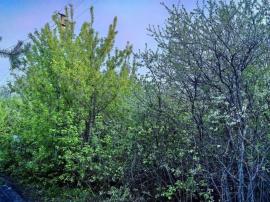 Участки, Самарская область