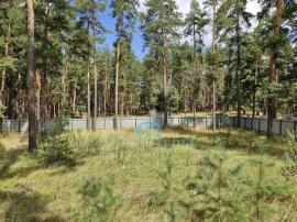 , Самарская область