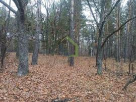 Участки, Сызрань