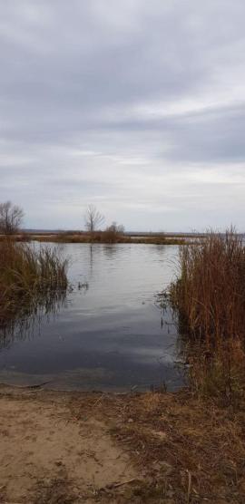 , Самарская область