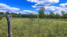 , Самарская область