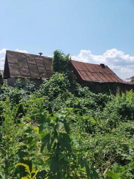 Дачи, Тольятти