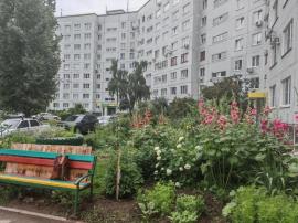 Квартиры, 1-комн., Тольятти