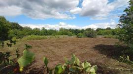 , Самарская область