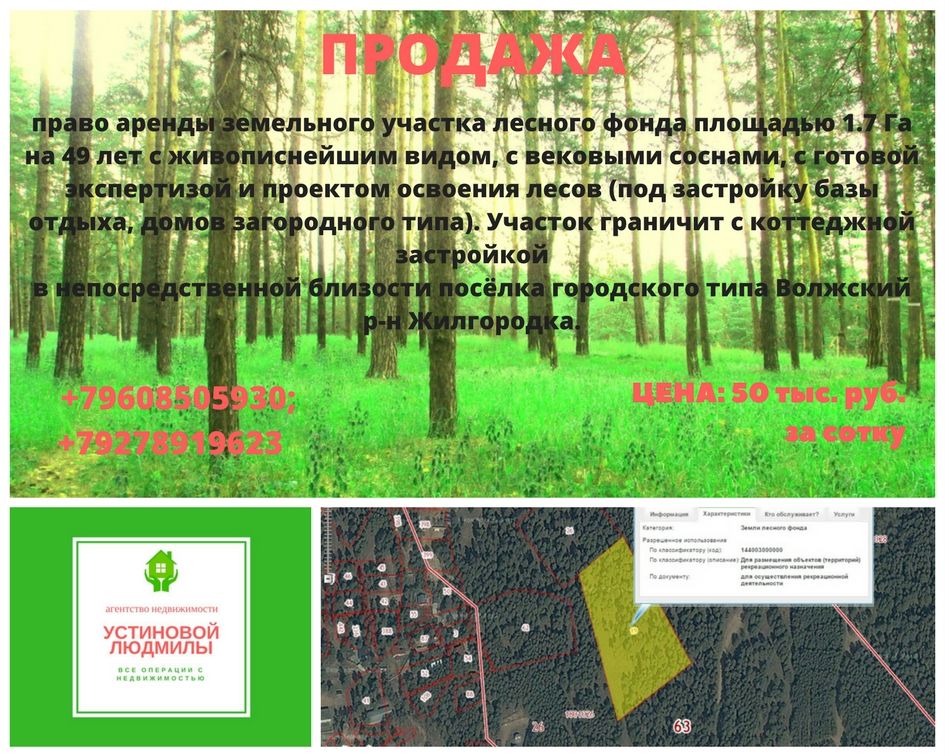 Проект освоения лесов состав и порядок разработки