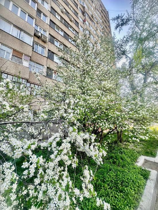 Продажа 3-комнатной квартиры, Тольятти, Баныкина,  52