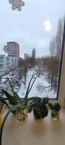 , 2-комн., Тольятти