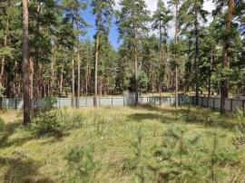 , Самарская область