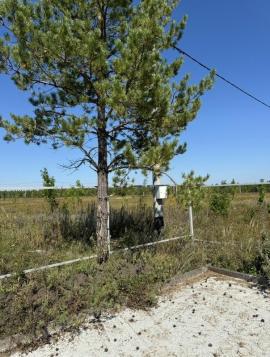 , Самарская область