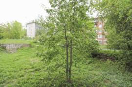 Специалисты компании 