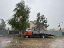 Дома/Коттеджи, Кинель